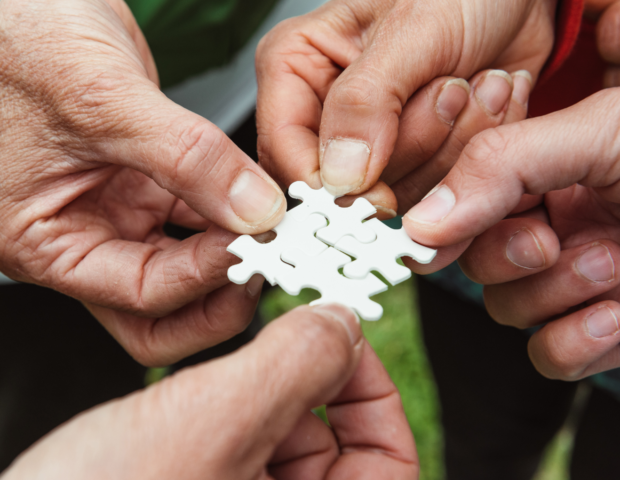 Formation développement humain - Mangement - COF